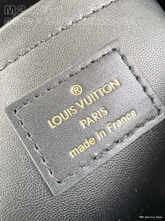 Aaa replica bags VUITTON SPEEDY LOUIS BANDOULIÈRE 20 0824